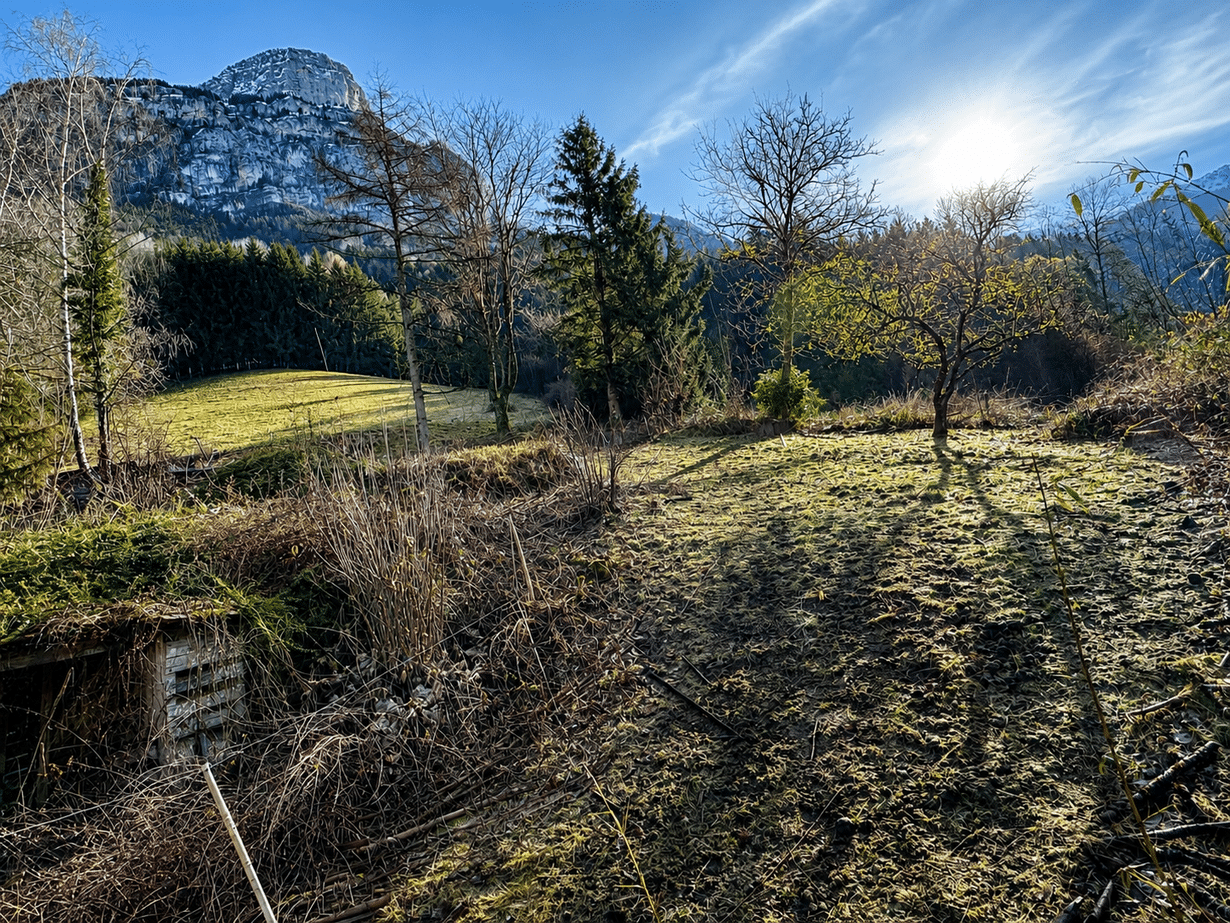 Terrain - 14012 m² - Glières-Val-de-Borne - Agence Faucigny Immobilier Saint Pierre en Faucigny - Alexandre Barril