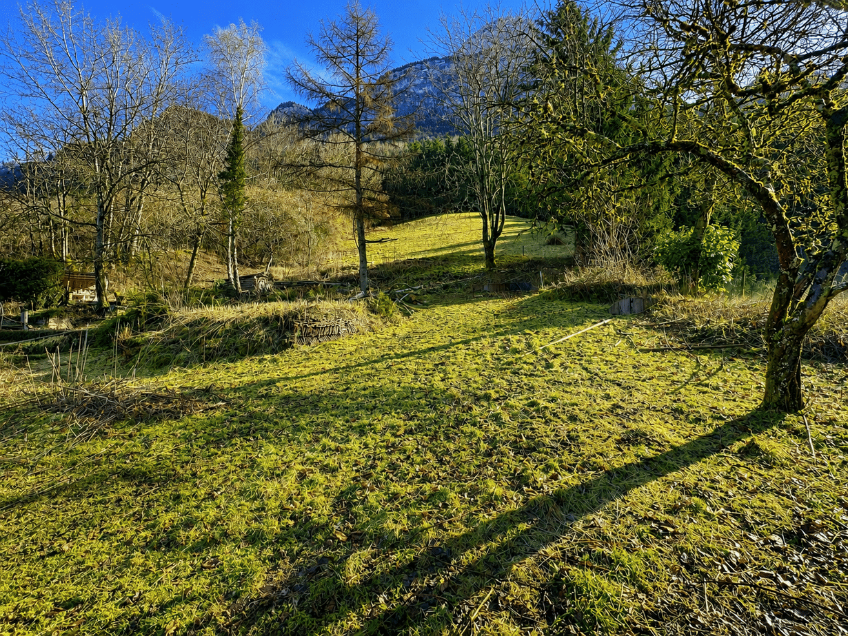 Terrain - 14012 m² - Glières-Val-de-Borne - Agence Faucigny Immobilier Saint Pierre en Faucigny - Alexandre Barril