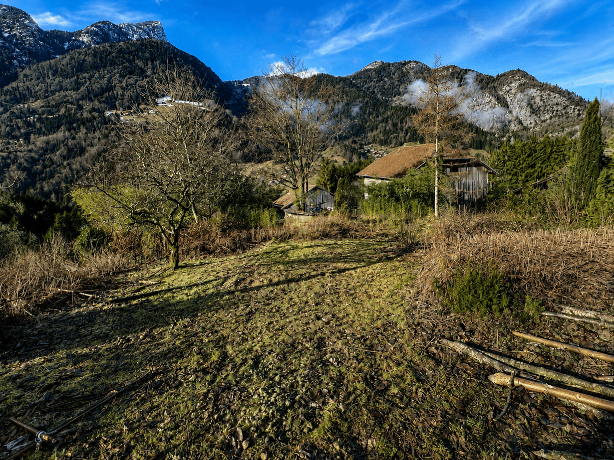 Terrain - 14012 m² - Glières-Val-de-Borne - Agence Faucigny Immobilier Saint Pierre en Faucigny - Alexandre Barril