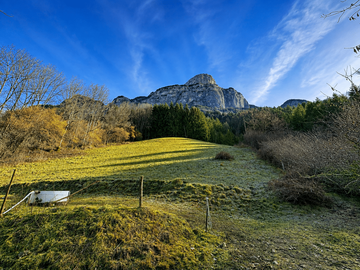 Terrain - 14012 m² - Glières-Val-de-Borne - Agence Faucigny Immobilier Saint Pierre en Faucigny - Alexandre Barril