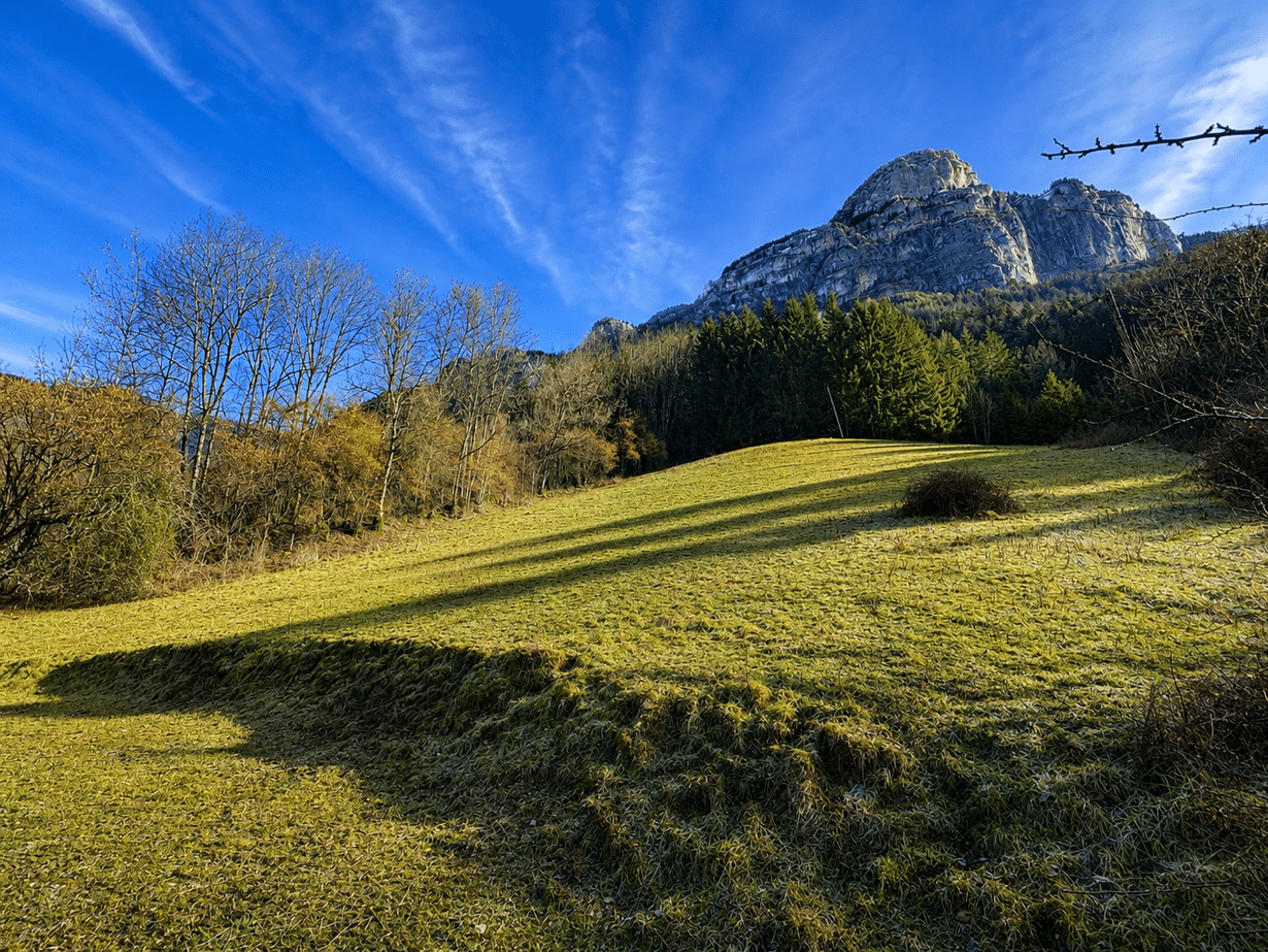 Terrain - 14012 m² - Glières-Val-de-Borne - Agence Faucigny Immobilier Saint Pierre en Faucigny - Alexandre Barril