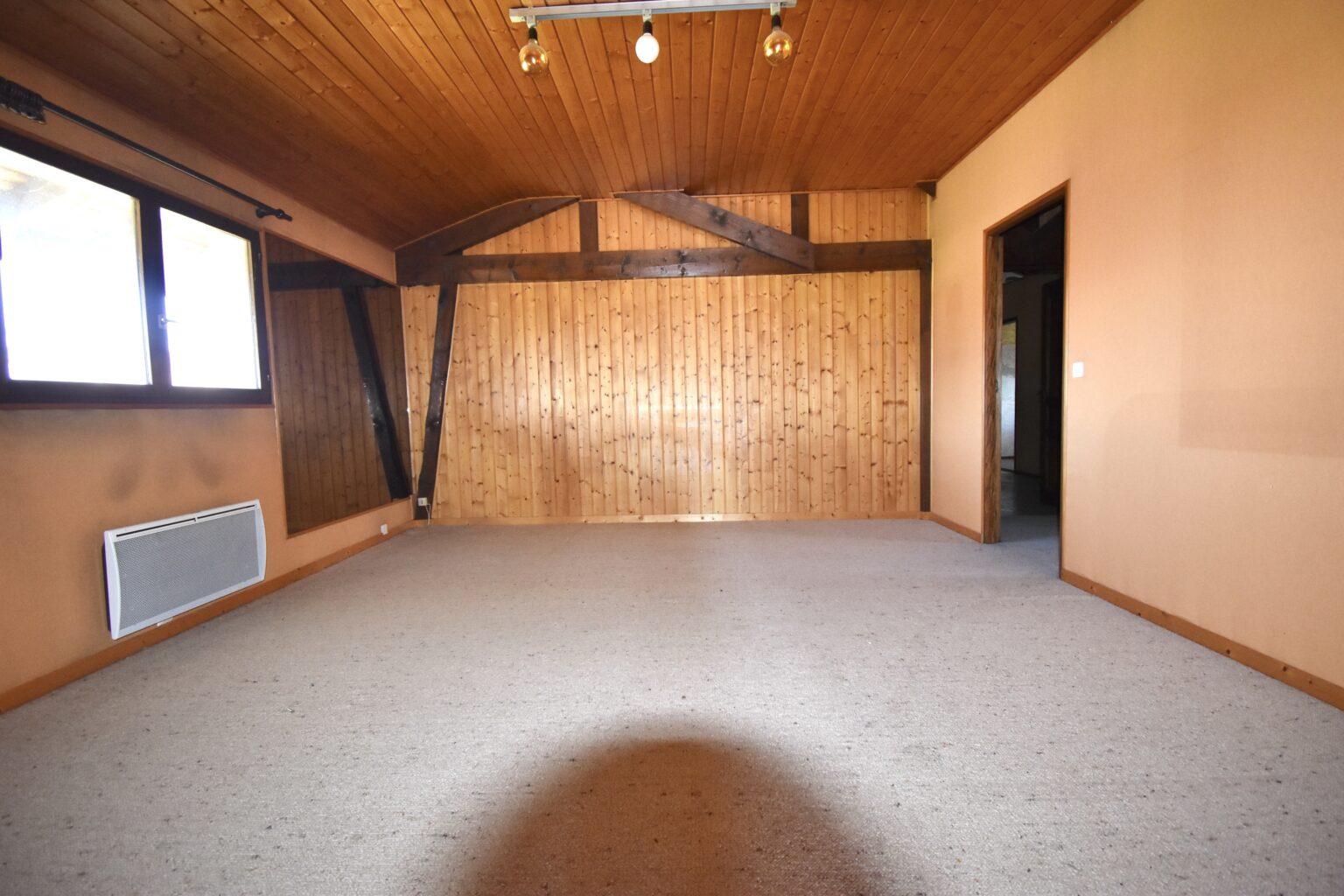 Immeuble 4 pièces - 249.15 m² - Peillonnex - Agence Faucigny Immobilier Saint Pierre en Faucigny - Alexandre Barril